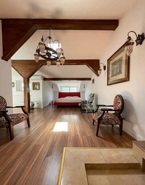 Mitropolie- Parcul Carol/ vila 6 camere, 340mp utili, curte privata